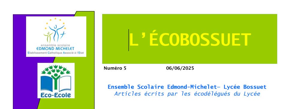 ecobossuetlogo